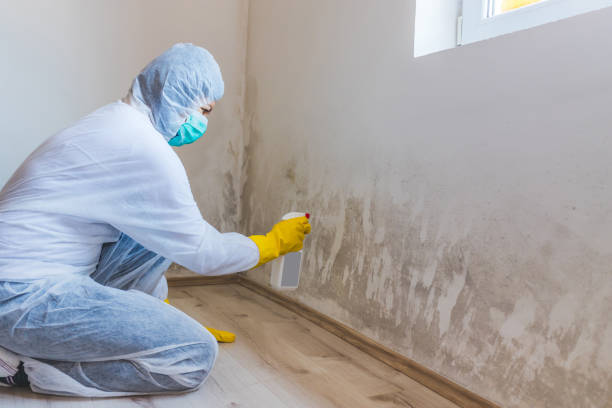Commercial Mold Remediation assessment for commercial property in Edison